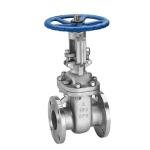OS&Y Gate Valve