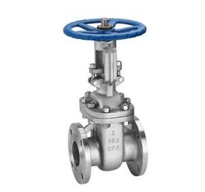 OS&Y Gate Valve