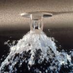 Fire sprinkler
