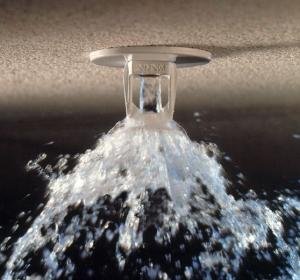 Fire sprinkler