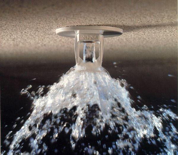 Fire sprinkler