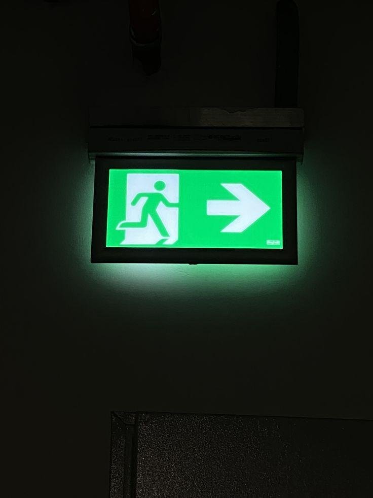 Illuminated emergency exit sign